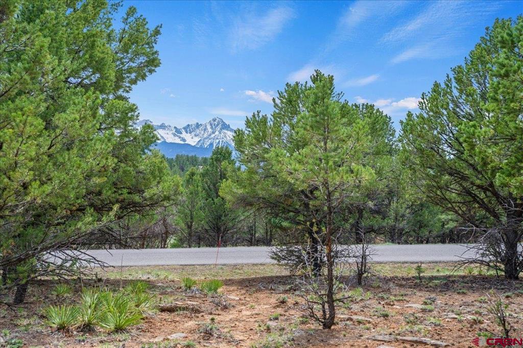 681 Marmot Drive Ridgway CO 81432