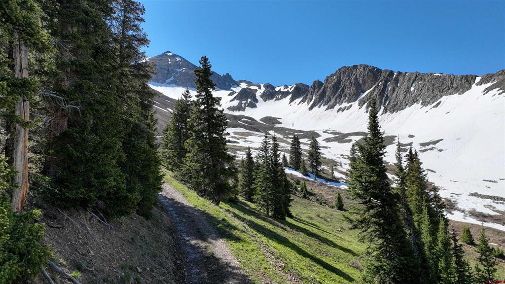Tbd Road 51 Silverton CO 81433
