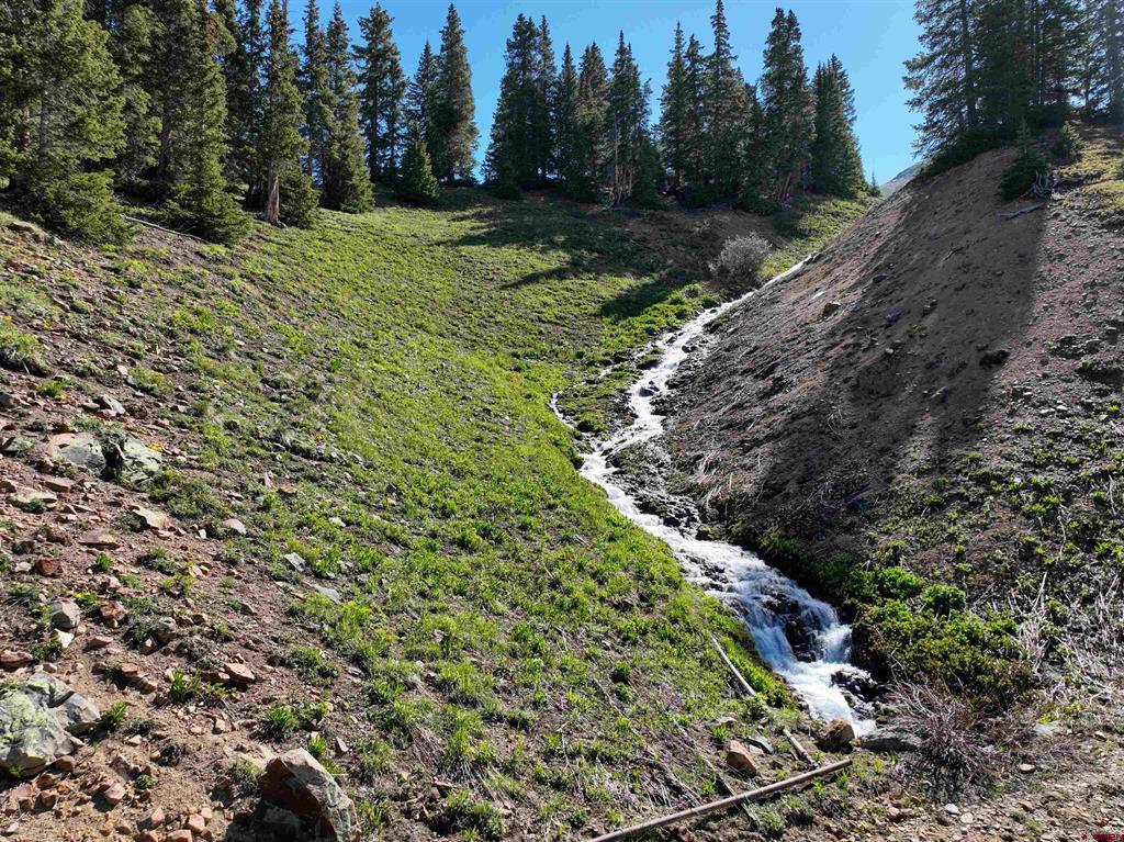 Tbd Road 51 Silverton CO 81433
