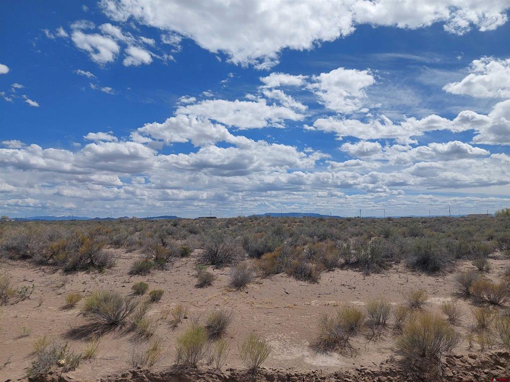Tbd Ash Drive Alamosa CO 81101