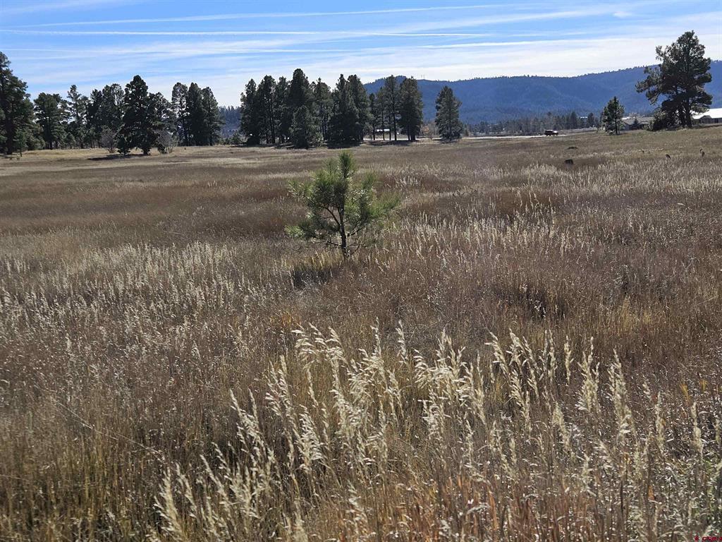 97 Sandlewood Drive Pagosa Springs CO 81147