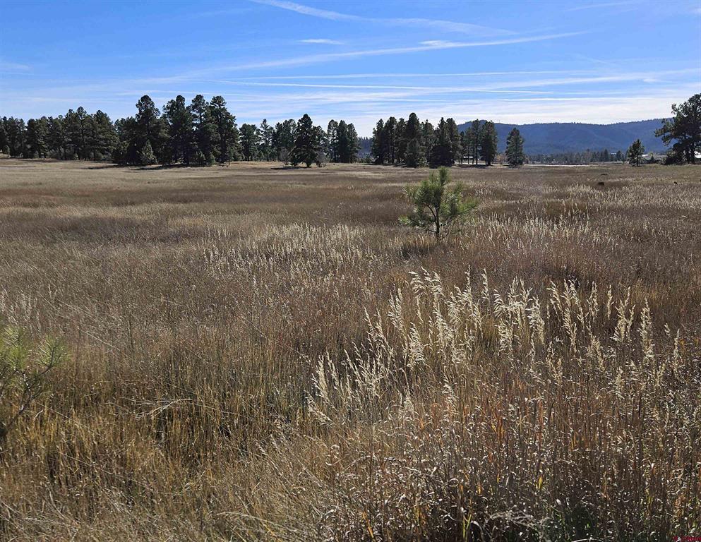 97 Sandlewood Drive Pagosa Springs CO 81147