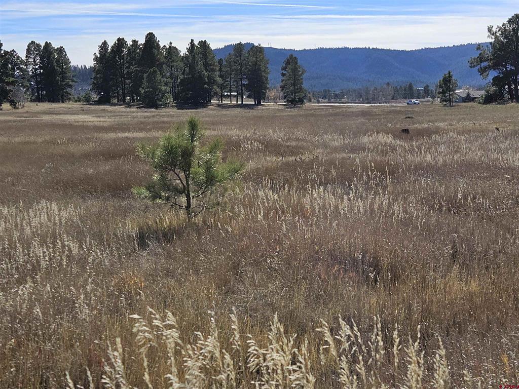97 Sandlewood Drive Pagosa Springs CO 81147