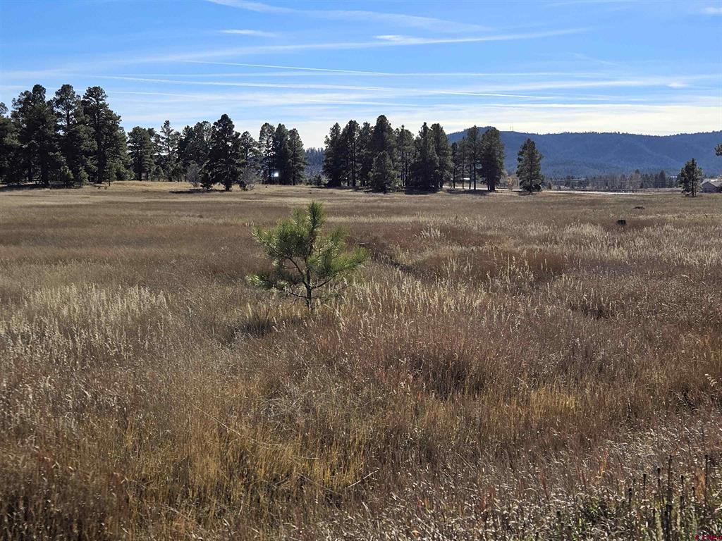 97 Sandlewood Drive Pagosa Springs CO 81147