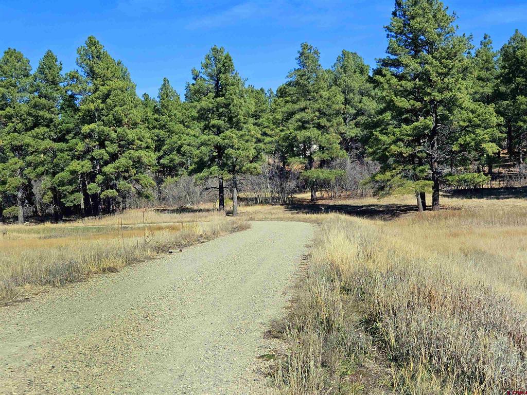 97 Sandlewood Drive Pagosa Springs CO 81147