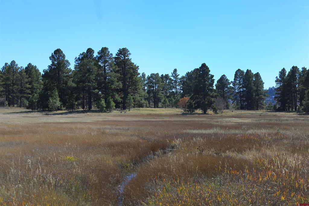 97 Sandlewood Drive Pagosa Springs CO 81147