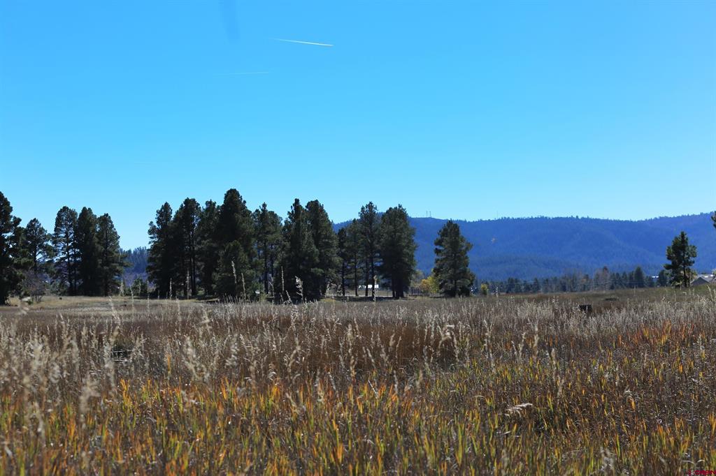 97 Sandlewood Drive Pagosa Springs CO 81147
