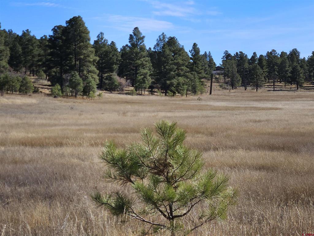97 Sandlewood Drive Pagosa Springs CO 81147
