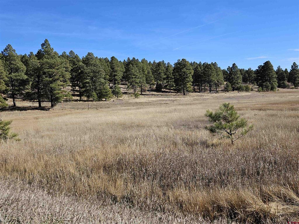 97 Sandlewood Drive Pagosa Springs CO 81147