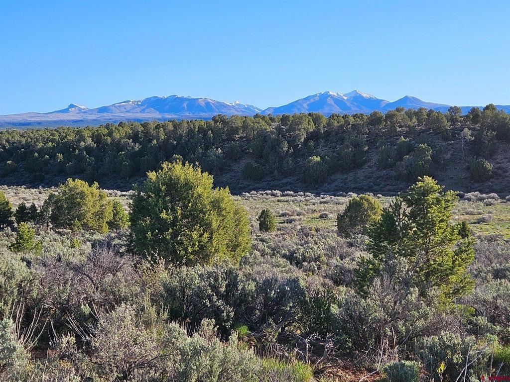 1177 County Road 119a Hesperus CO 81326