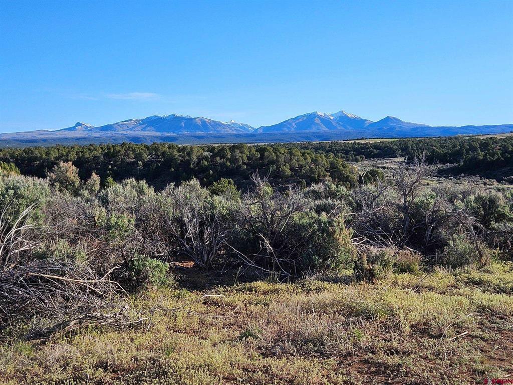 1177 County Road 119a Hesperus CO 81326