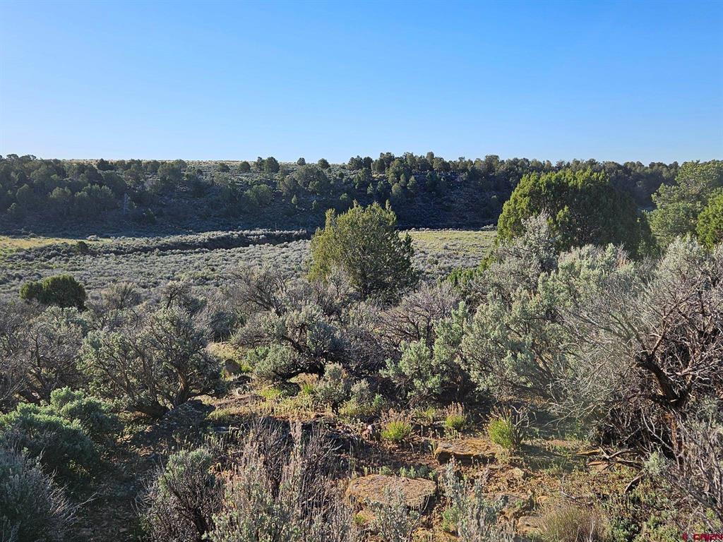 1177 County Road 119a Hesperus CO 81326