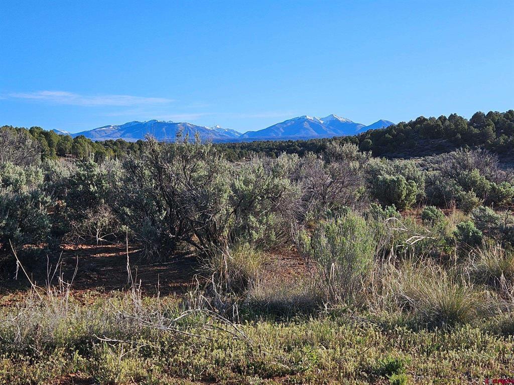 1177 County Road 119a Hesperus CO 81326