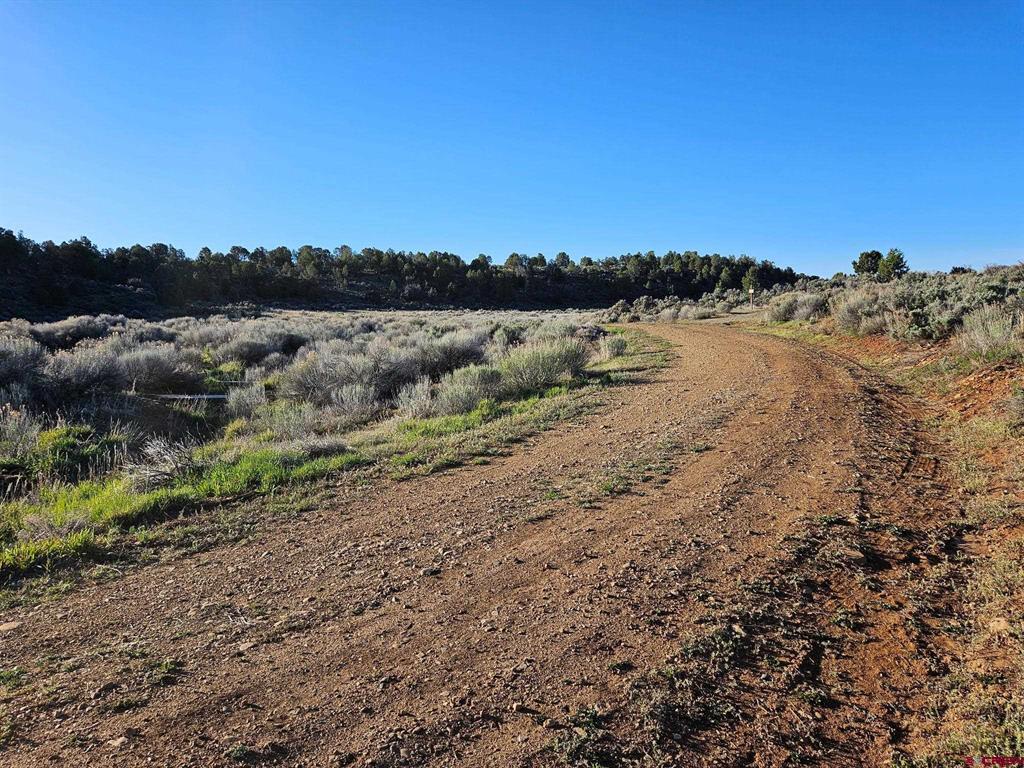 1177 County Road 119a Hesperus CO 81326