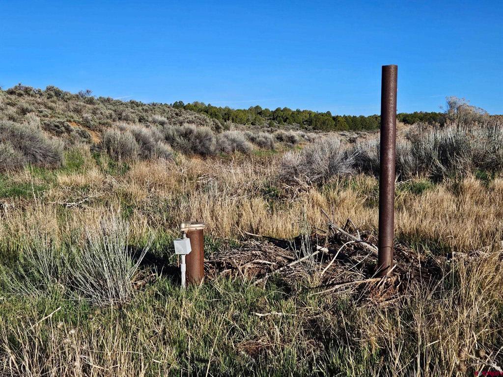 1177 County Road 119a Hesperus CO 81326