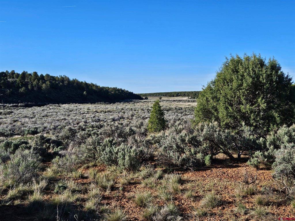 1177 County Road 119a Hesperus CO 81326
