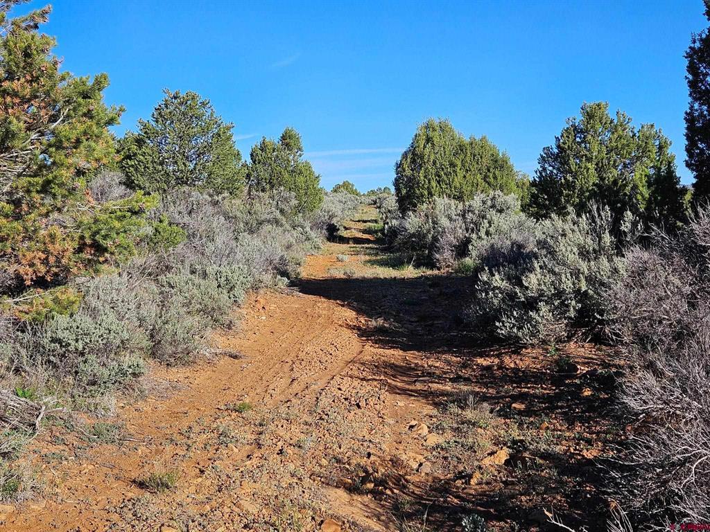 1177 County Road 119a Hesperus CO 81326