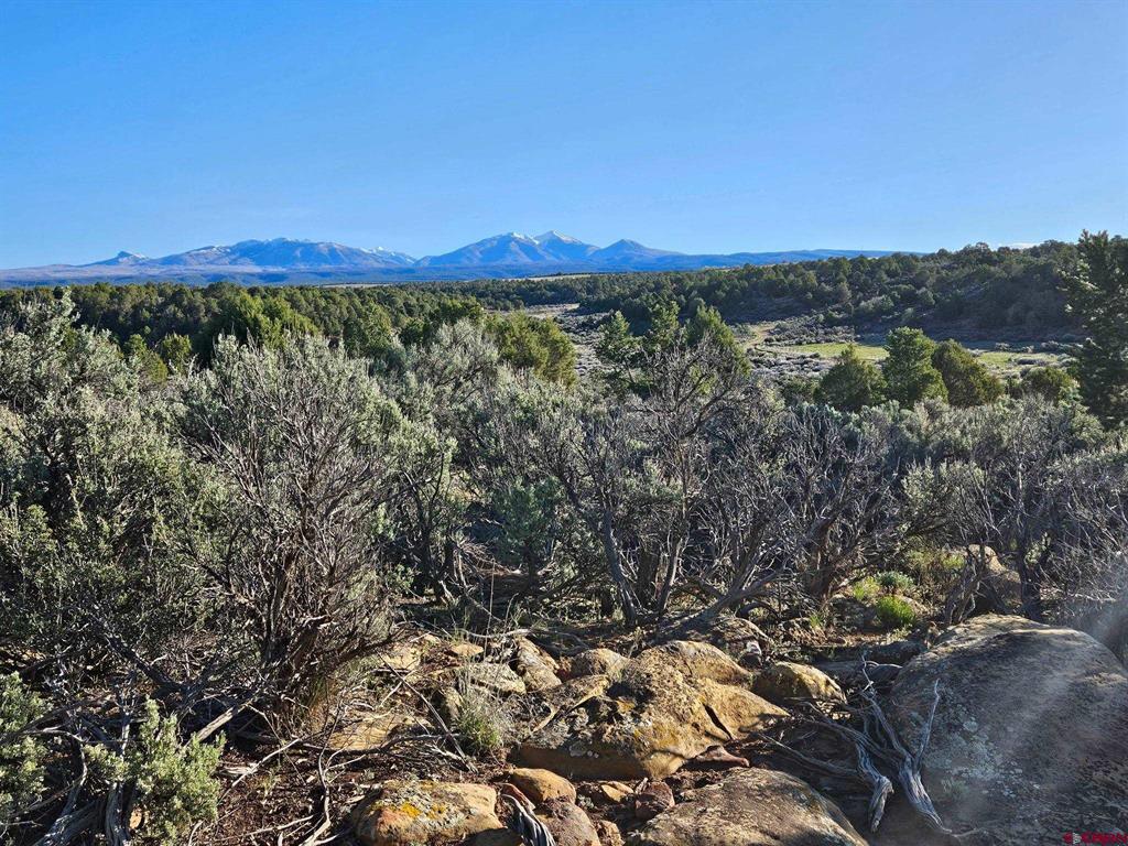 1177 County Road 119a Hesperus CO 81326