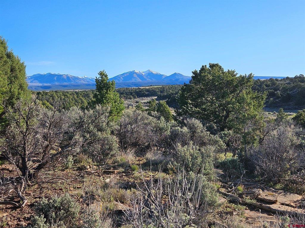 1177 County Road 119a Hesperus CO 81326