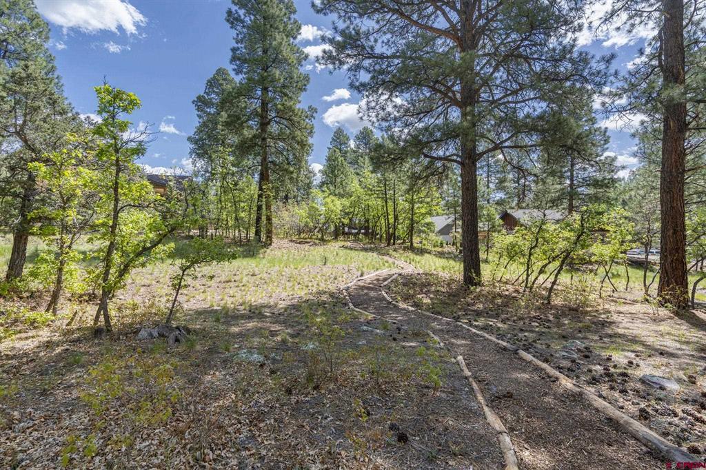 47 Needle Creek Court Durango CO 81301