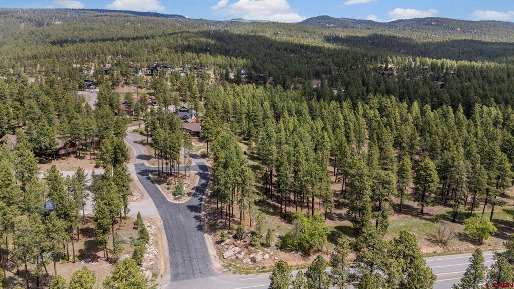 47 Needle Creek Court Durango CO 81301