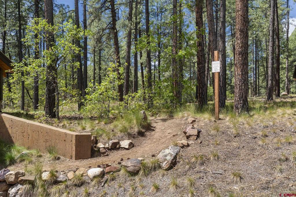 47 Needle Creek Court Durango CO 81301