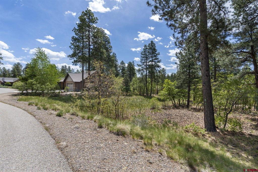 47 Needle Creek Court Durango CO 81301