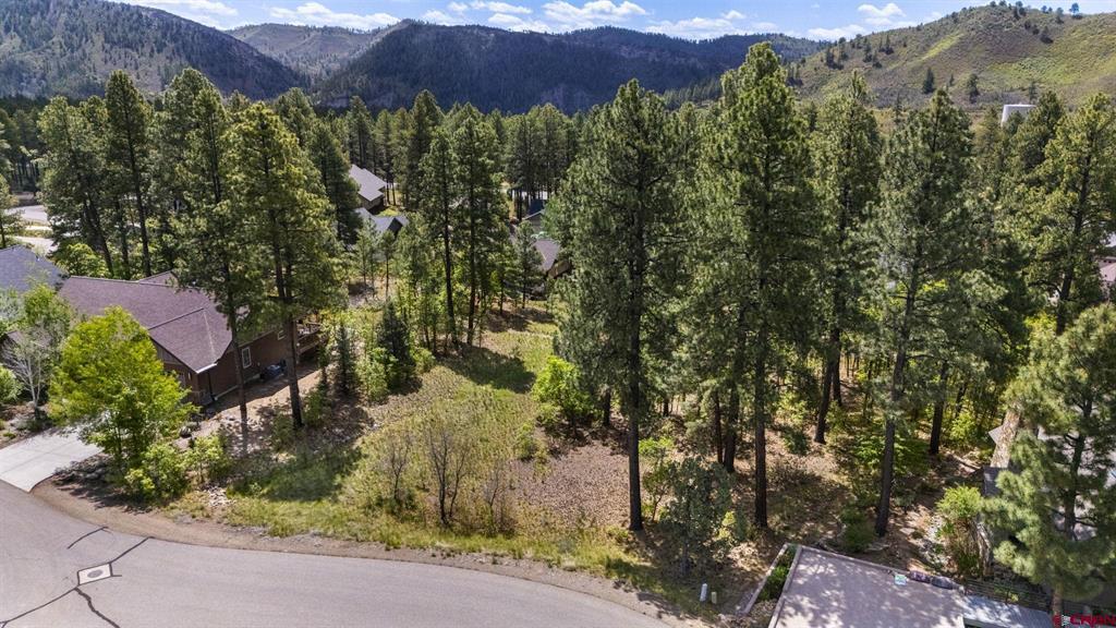 47 Needle Creek Court Durango CO 81301