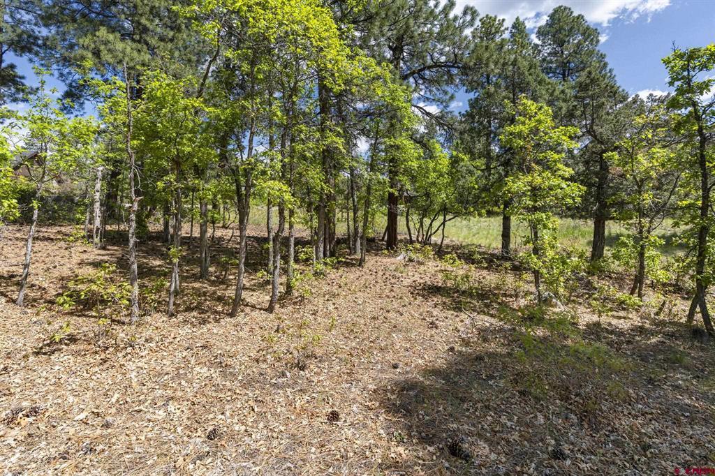 47 Needle Creek Court Durango CO 81301