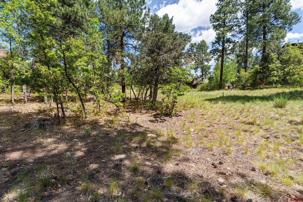 47 Needle Creek Court Durango CO 81301