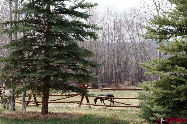 433 Meadow View Trail Gunnison CO 81230