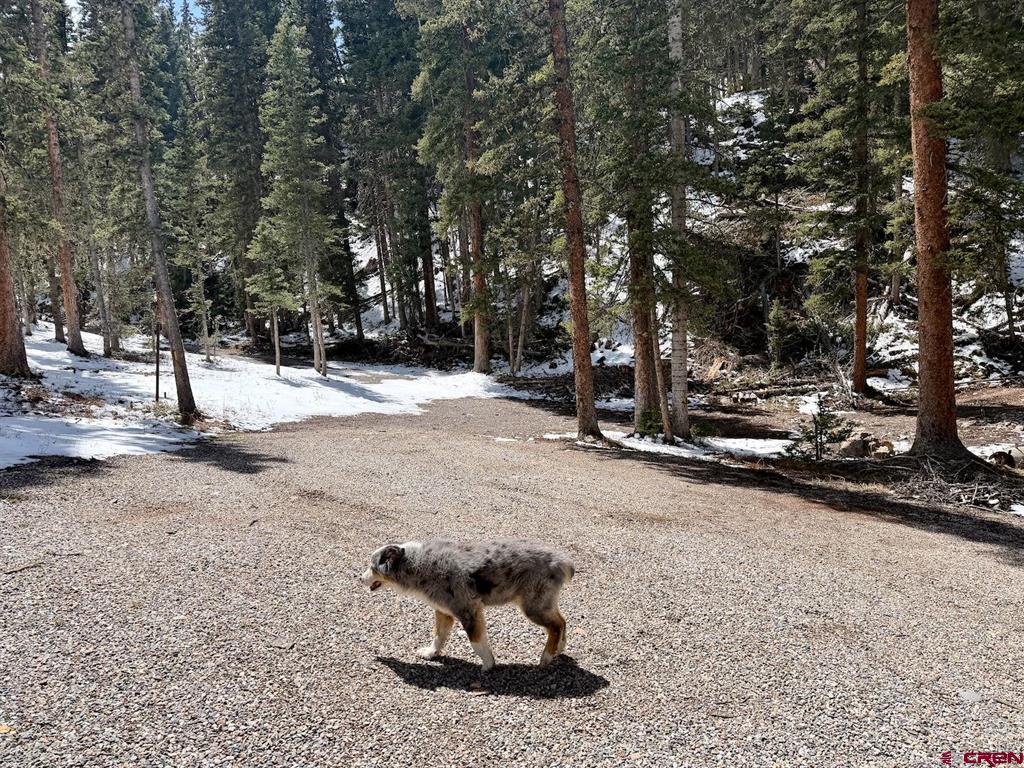 Tbd Mayzeppa 550 Highway Silverton CO 81433