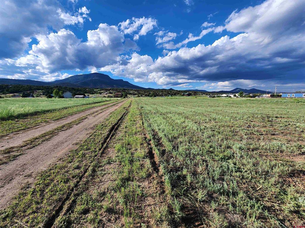 84 Orondoa Road South Fork CO 81154