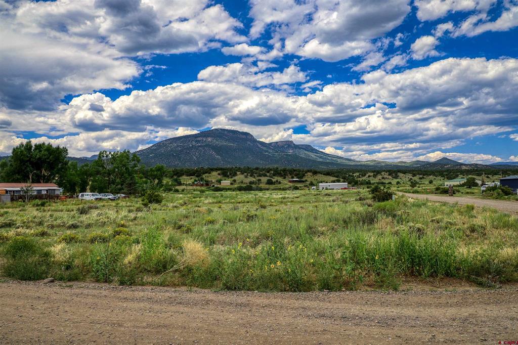 227 Red Feather Road South Fork CO 81154