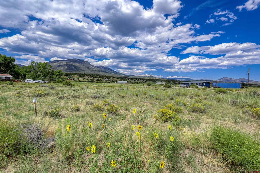 227 Red Feather Road South Fork CO 81154