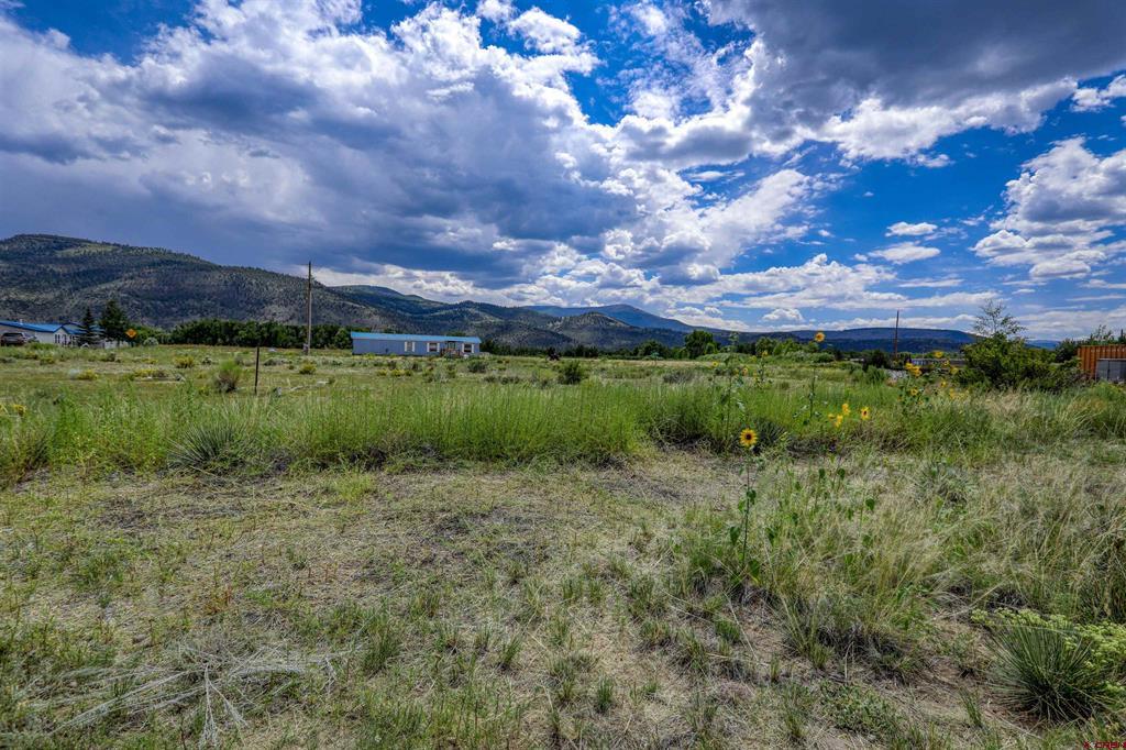 227 Red Feather Road South Fork CO 81154