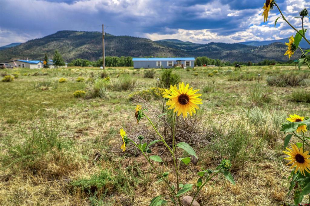 227 Red Feather Road South Fork CO 81154