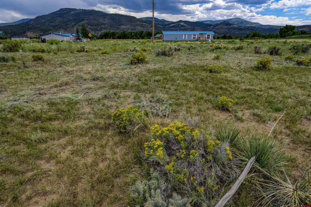 227 Red Feather Road South Fork CO 81154