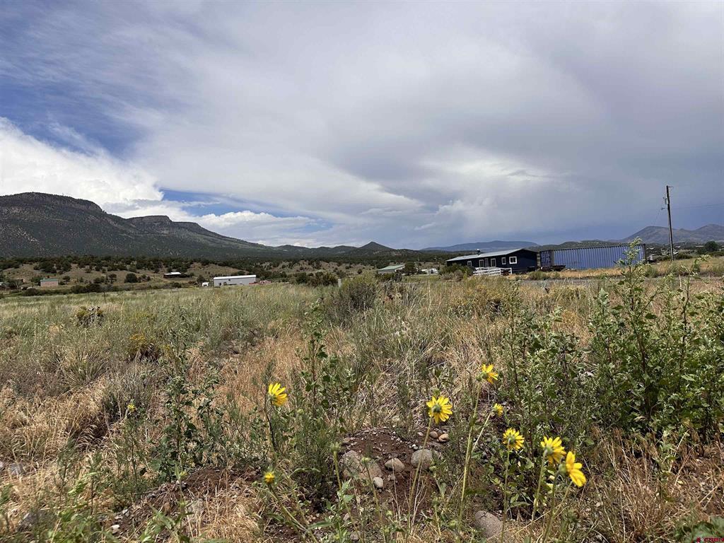 227 Red Feather Road South Fork CO 81154