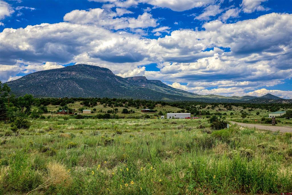 227 Red Feather Road South Fork CO 81154