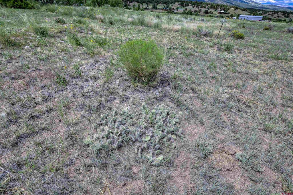 227 Red Feather Road South Fork CO 81154