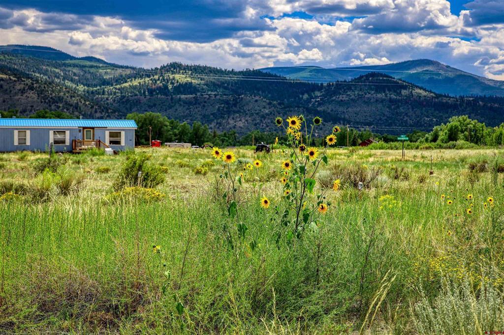 227 Red Feather Road South Fork CO 81154