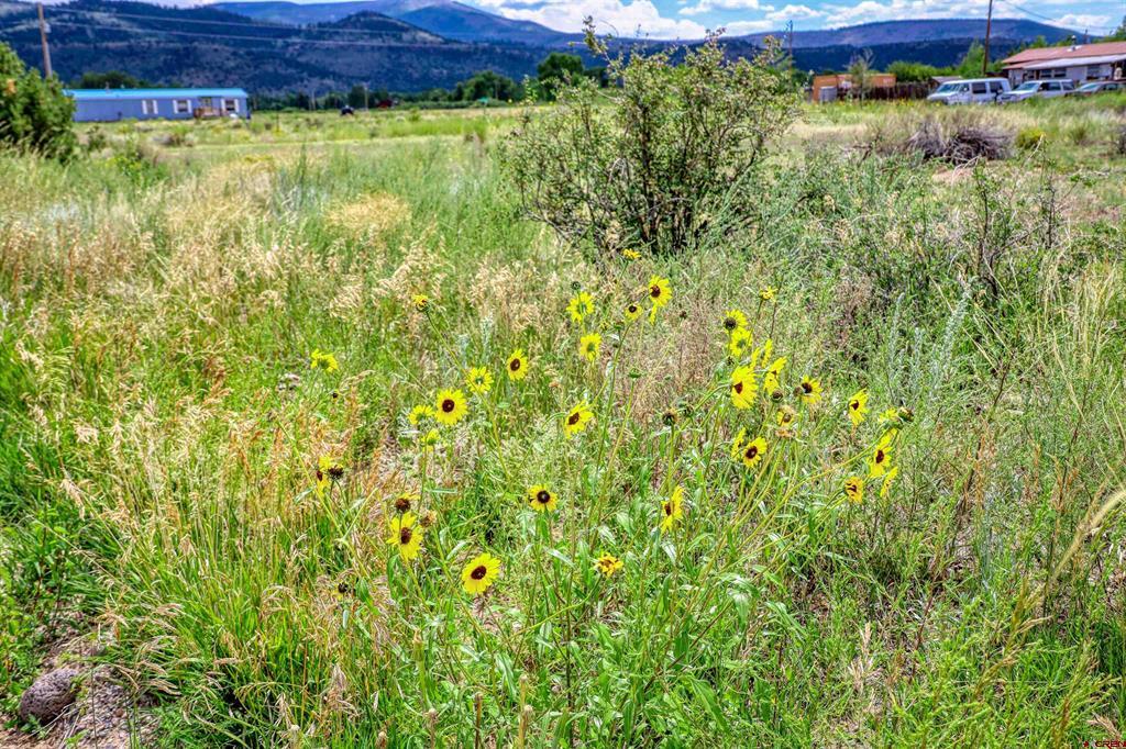 227 Red Feather Road South Fork CO 81154
