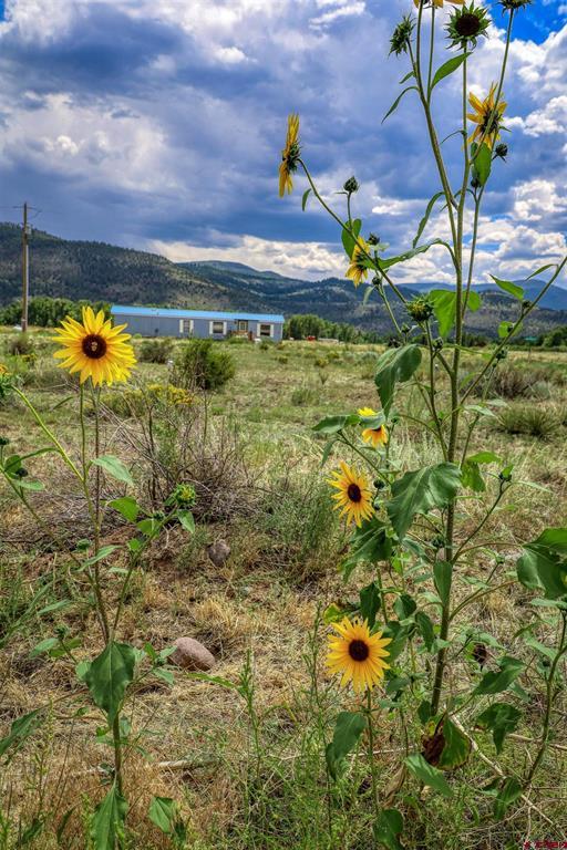 227 Red Feather Road South Fork CO 81154