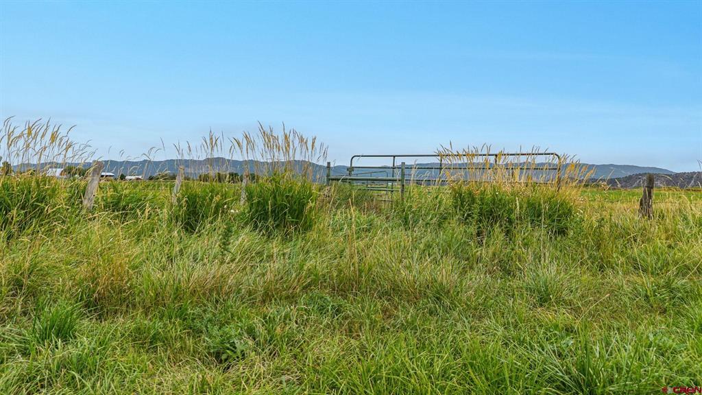 2337 County Road 516 Bayfield CO 81122
