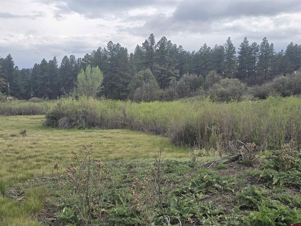 634 Cactus Drive Pagosa Springs CO 81147