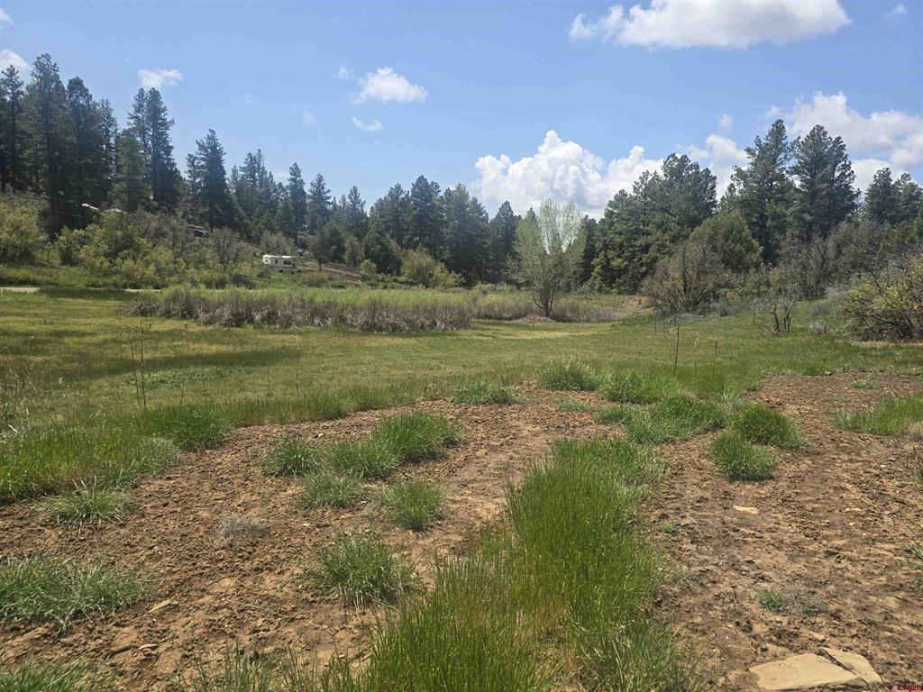 634 Cactus Drive Pagosa Springs CO 81147
