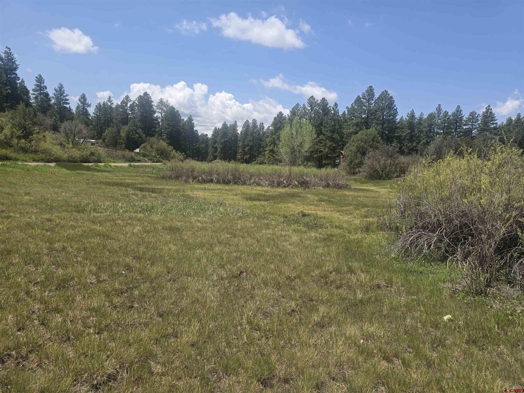 634 Cactus Drive Pagosa Springs CO 81147