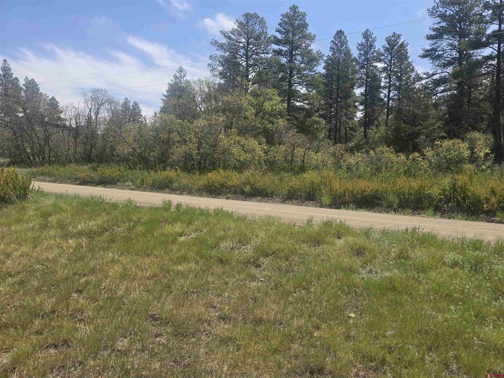 634 Cactus Drive Pagosa Springs CO 81147