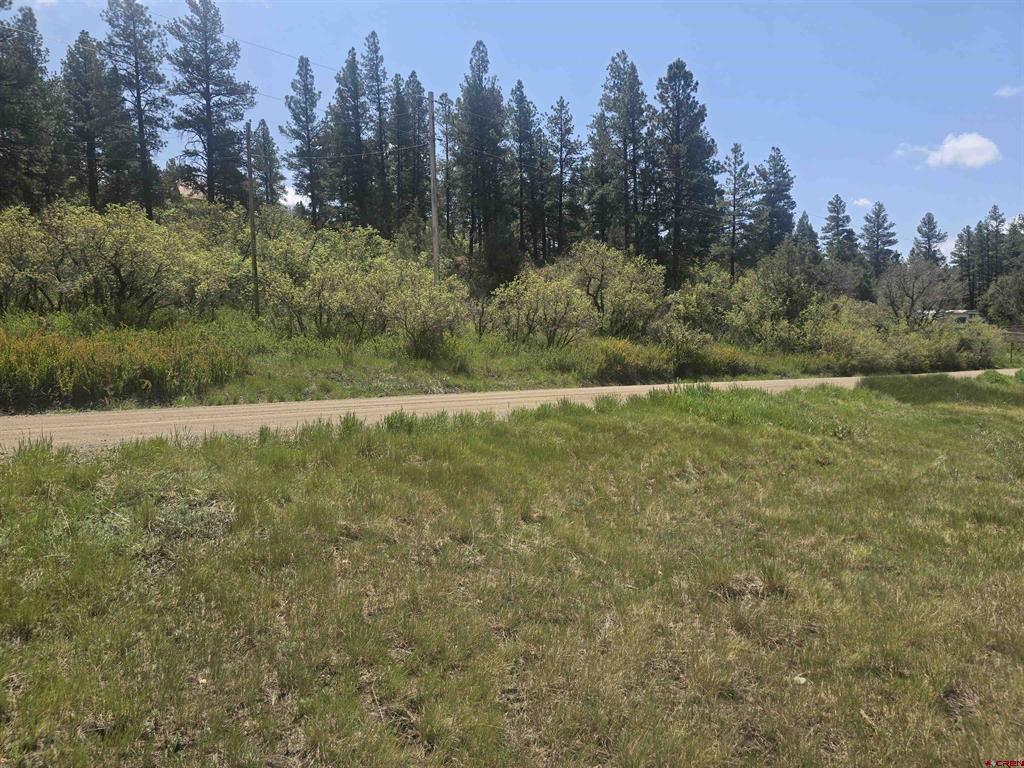 634 Cactus Drive Pagosa Springs CO 81147